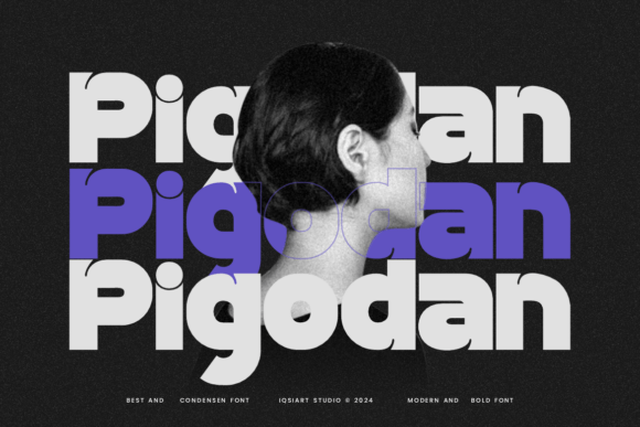 Pigodan: A Stylish Display Font
